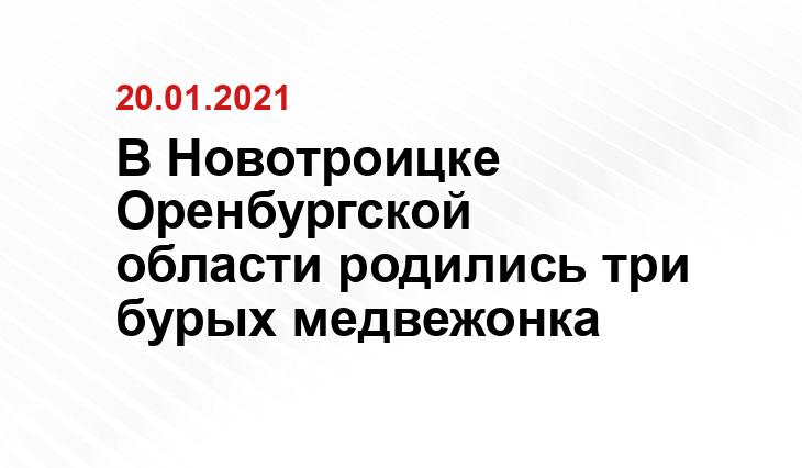 https://56orb.ru