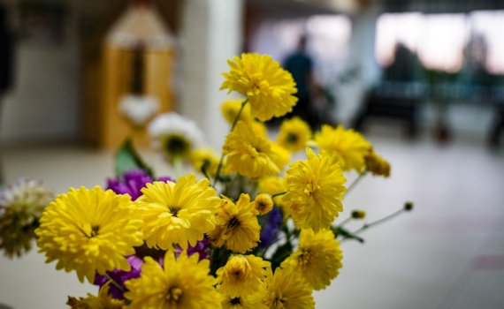 Королева осени хризантема: что сделать до зимы для фейерверка на будущий год — не только укрытие