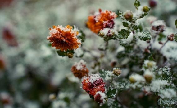 Последнее послание октября 2025: советы от Вселенной для всех знаков до конца месяца